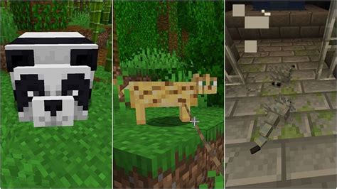 rarest animal minecraft|rarest animals minecraft 1.19.